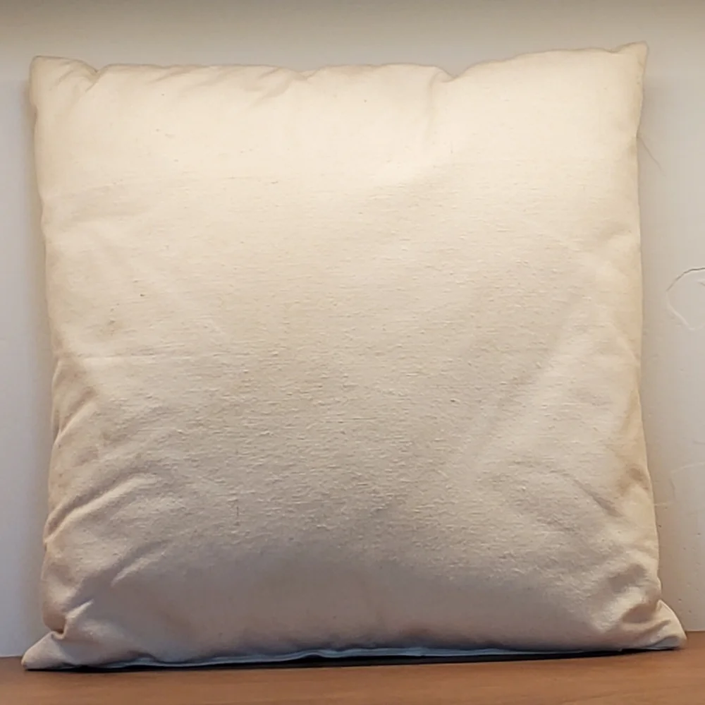 Cotton Canvas Southwest Desert Cactus Embroidered Pillow, 13.5